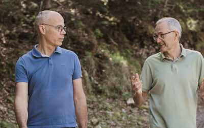 Why you should choose Tree Trunk Partners for your next business coaching workshop